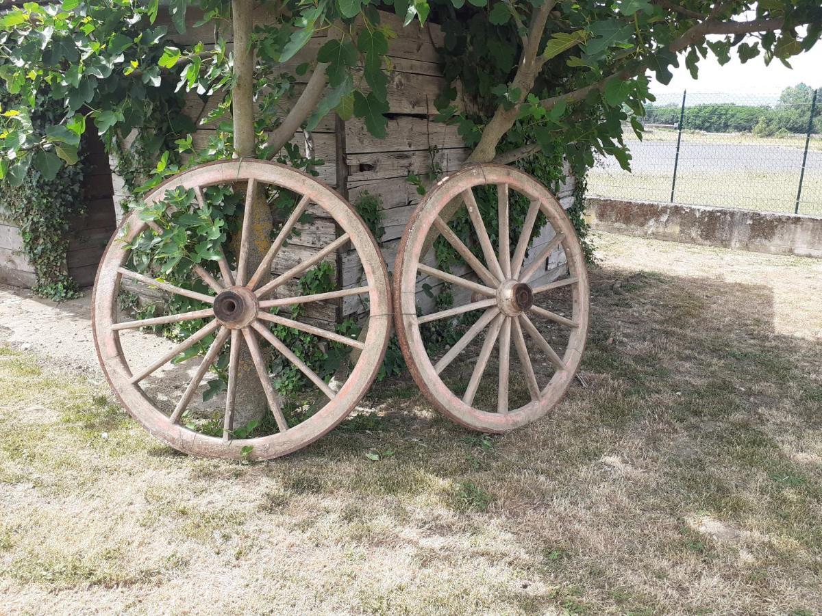 La Fiora Bed & Breakfast Sansepolcro Luaran gambar